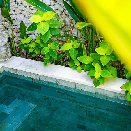 Alma Surf Villas 6 - Cozy 01 Bed With Private Pool Uluwatu  Bagian luar foto