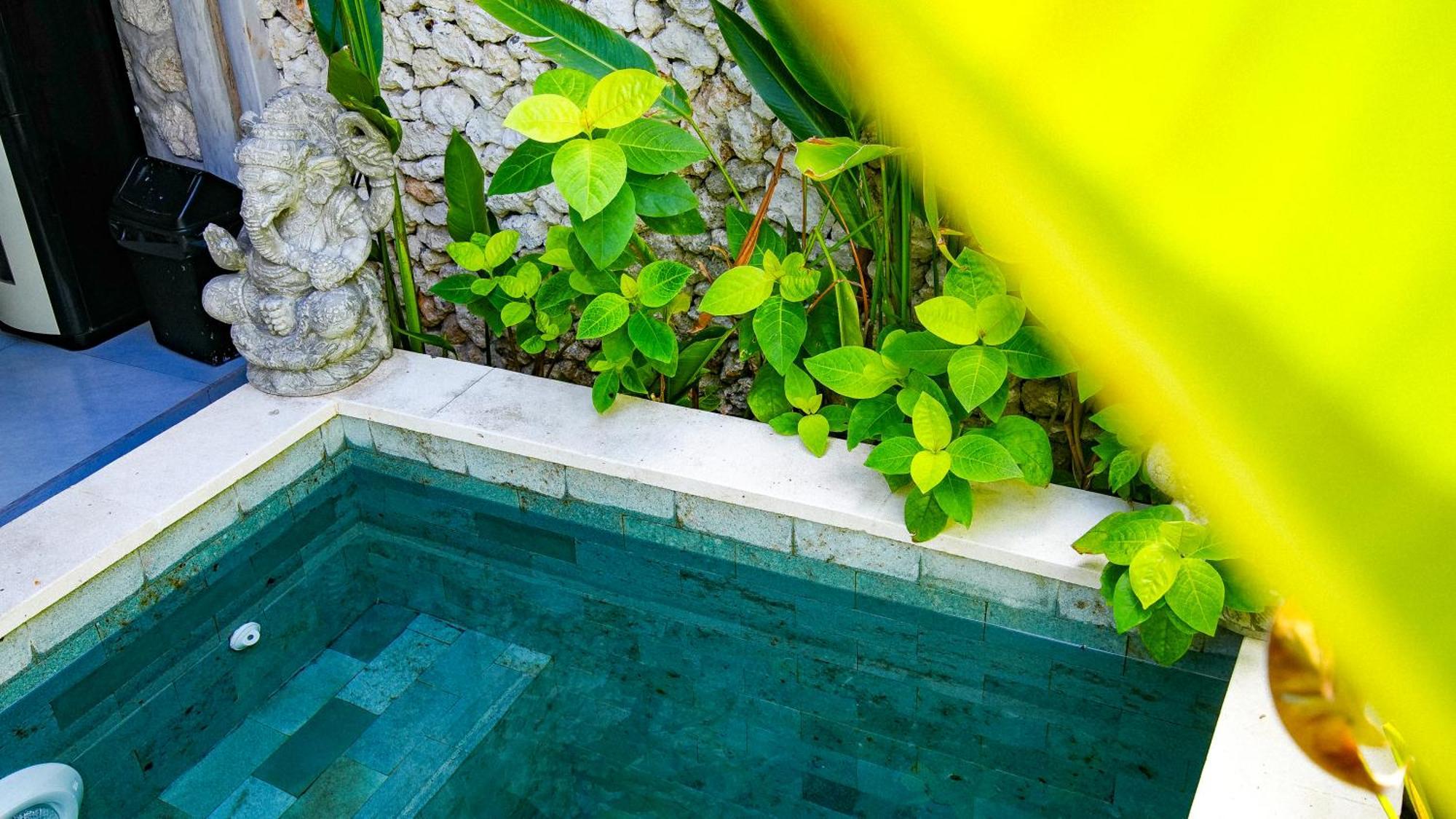 Alma Surf 6 - Cozy 01 Bed With Private Pool Apartemen
